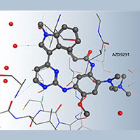 molecular oncology