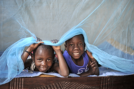 malaria bednet
