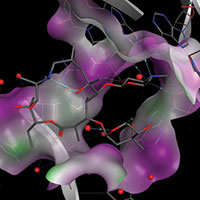 18th SCI/RSC Medicinal Chemistry Symposium