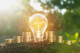 Money to invest in nature