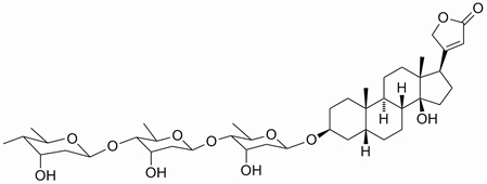 Digitoxin - Plant of the month