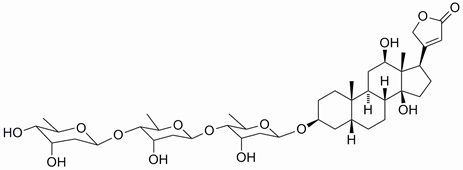 Digoxin - plant of the month June 2019