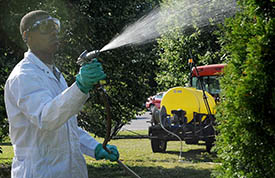 pesticides