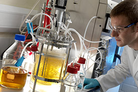29th Regional Postgraduate Symposia on Novel Organic Chemistry Event Preview