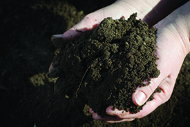 Soil science