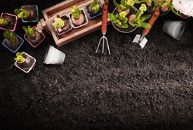 Soil