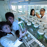 Laboratory