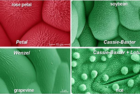 Secrets of Formulations IV: a chance to see ‘how stuff works’