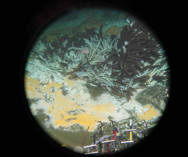 Sea floor