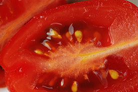 tomato slice