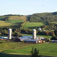 Farm in Sussex