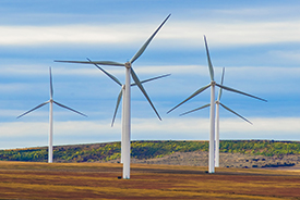 wind farm 3