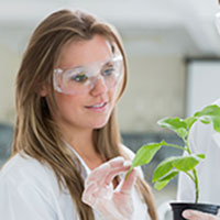 Agrisciences Young Researchers 2015