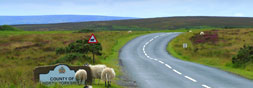 Yorkshire moor
