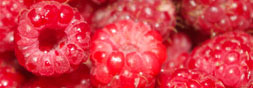 raspberries