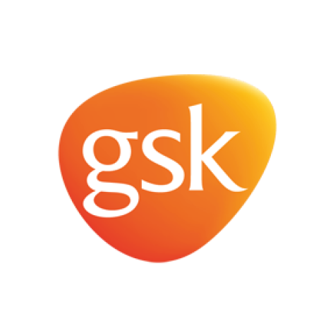 SCI Bright SCIdea Supporting Partner logo - GSK