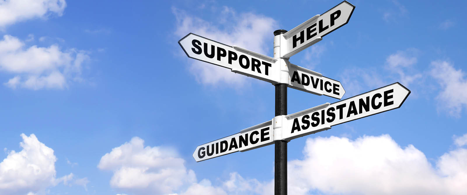 Mentoring Programme