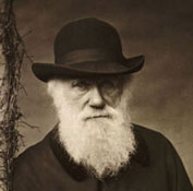 Darwin
