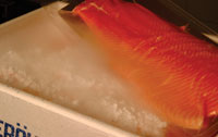 Dry ice cooling fish