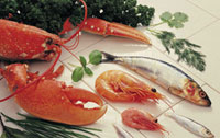 Seafood