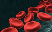 red blood cells