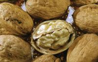 walnut