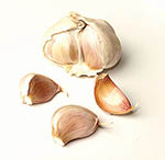 Garlic bulb
