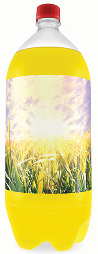 bottled sunshine