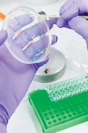 Cell picking