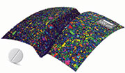 WITec_TrueSurface_Topographic_Raman_Imaging_Tablet