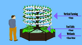 010 vertical system