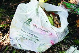 020 Compostable bag