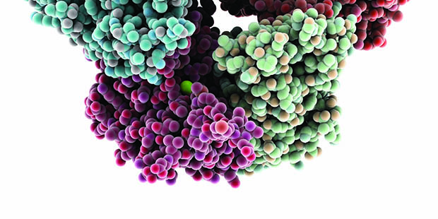 018 RNA exosome complex web bottom