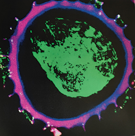 Supercharged deep sea antibiotics (green) appear once encased in their pollen sun screen shell, in purple