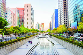 021 Green city web