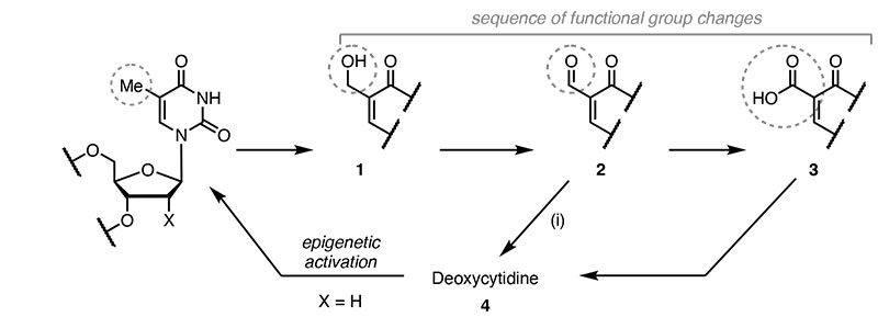 Organic Chemistry Scheme 1