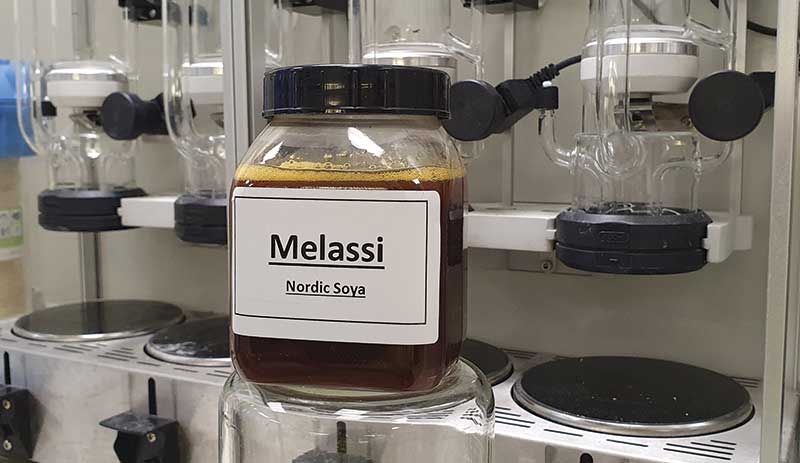 Jar of molasses - Scandinavian researchers are building a pilot plant to make compostable PLA bioplastic from soya molasses