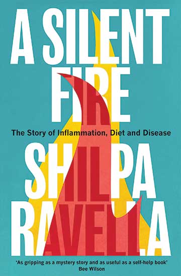 A silent fire book cover