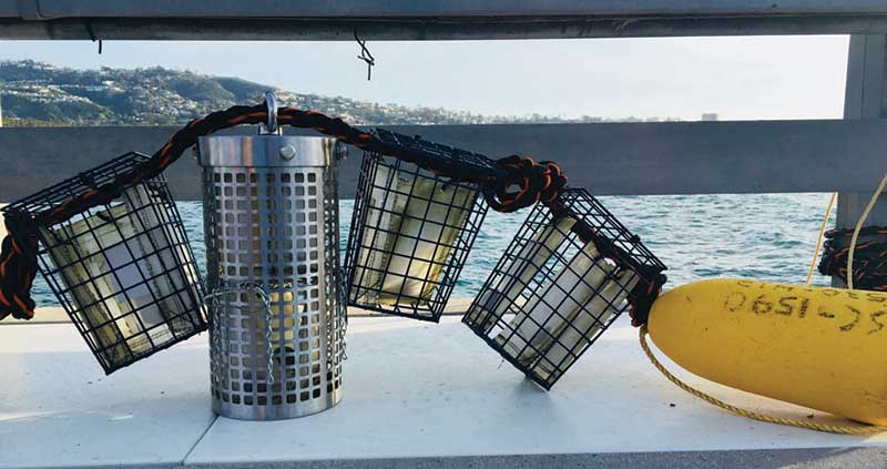 Cage design used for sea surface experiment to check for plastic waste