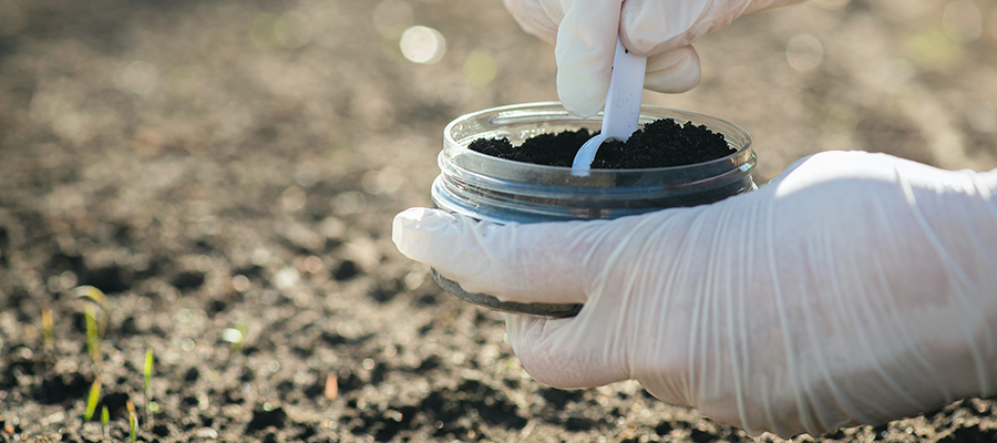 Soil