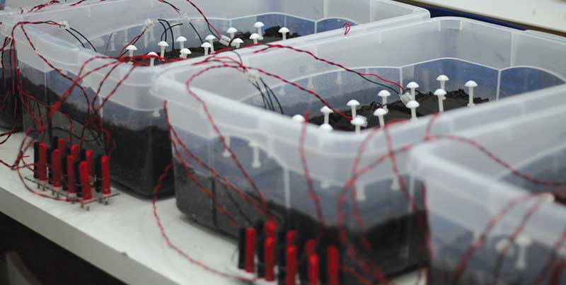 Soil fuel cell stacks