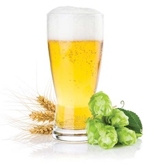 A glass of beer with barley and hops