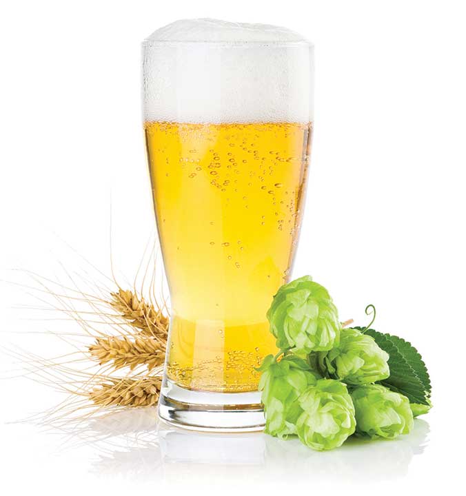 A glass of beer with barley and hops
