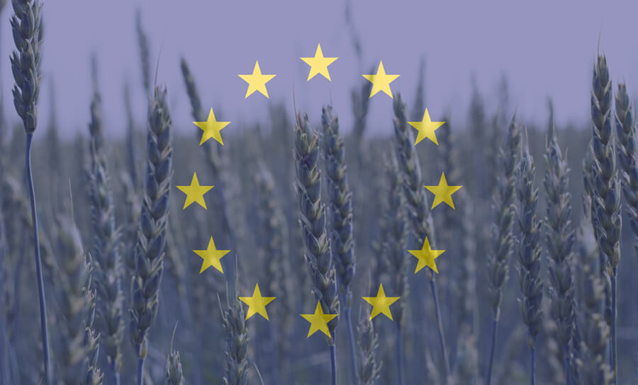 Field of wheat with EU flag filter