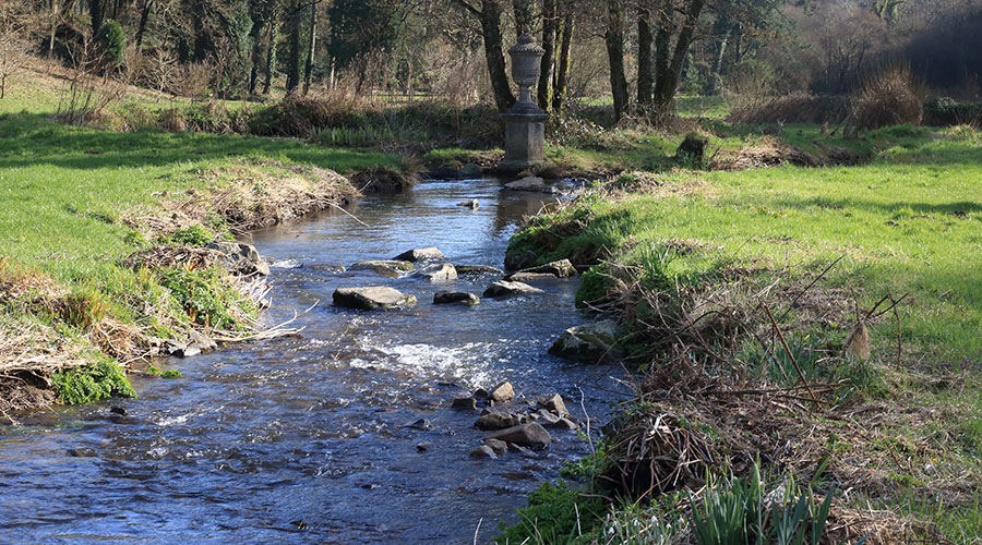 A stream in Wales
