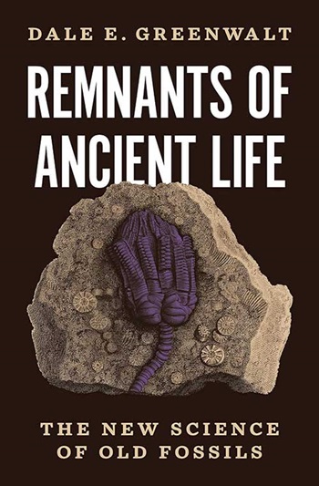 Remnants of ancient life book cover