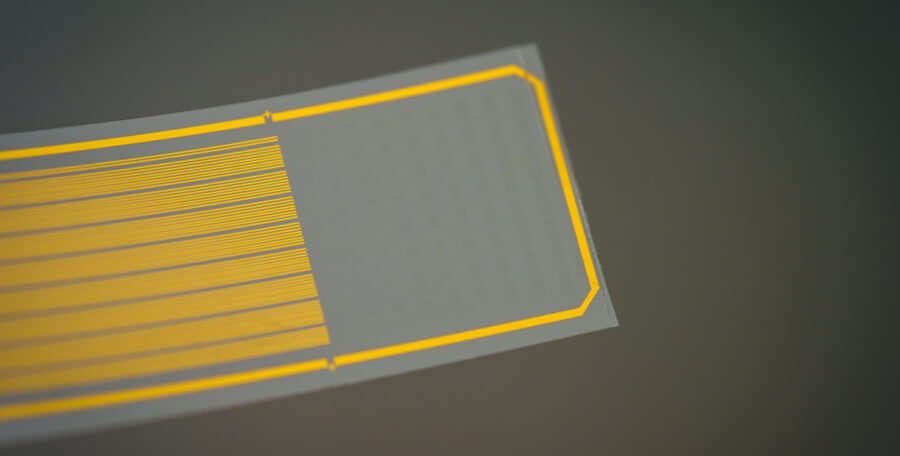 Closeup of the transparent graphene electrode array.