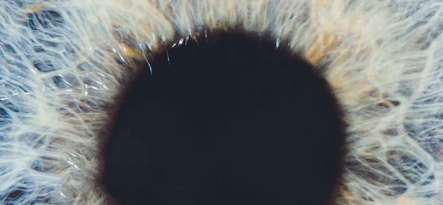 Vision for the future: The quest to manage macular degeneration