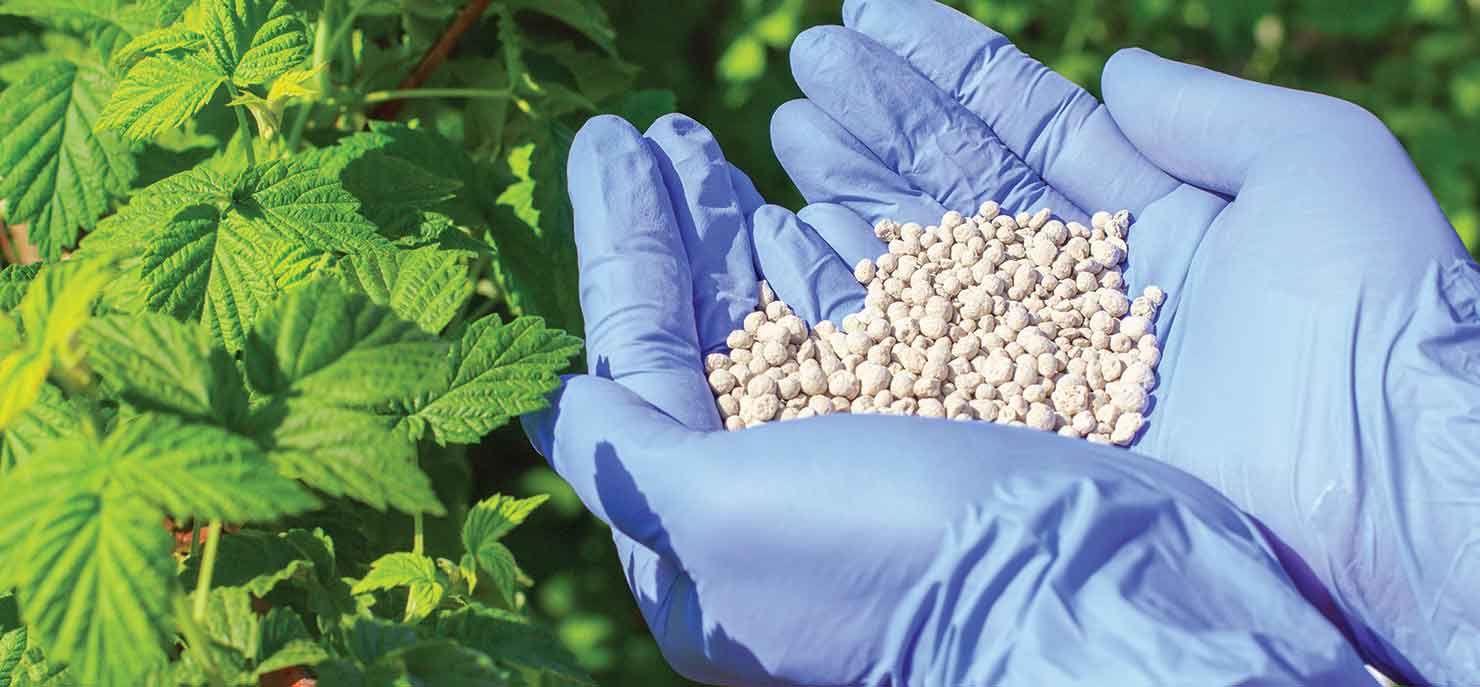 /-/media/images/cni/issue-image/2025/2/nitrogen-fertiliser.ashx?h=687&w=1480&hash=1F54D5872B50B9FB653B5F630E2916EC