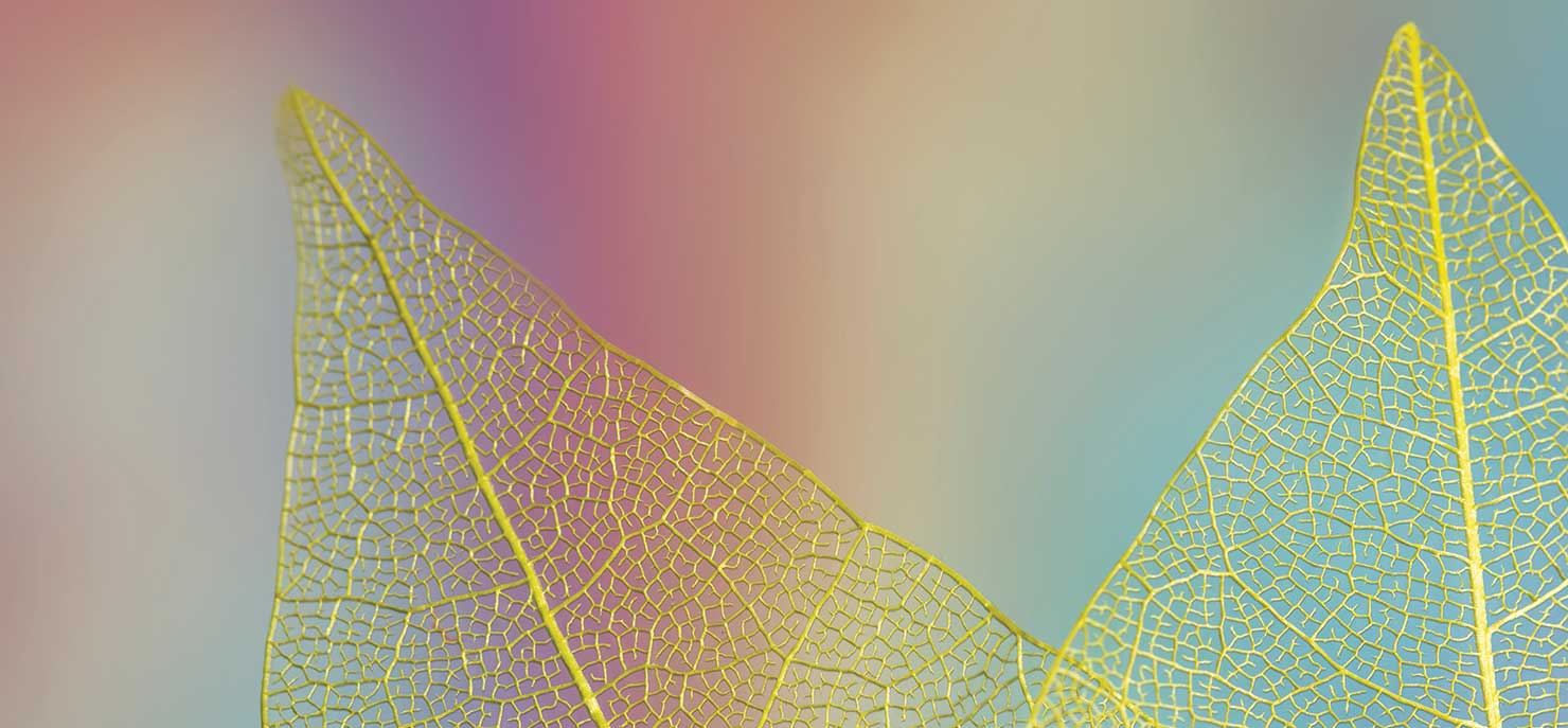 Artificial leaf reactor makes ethylene from CO2